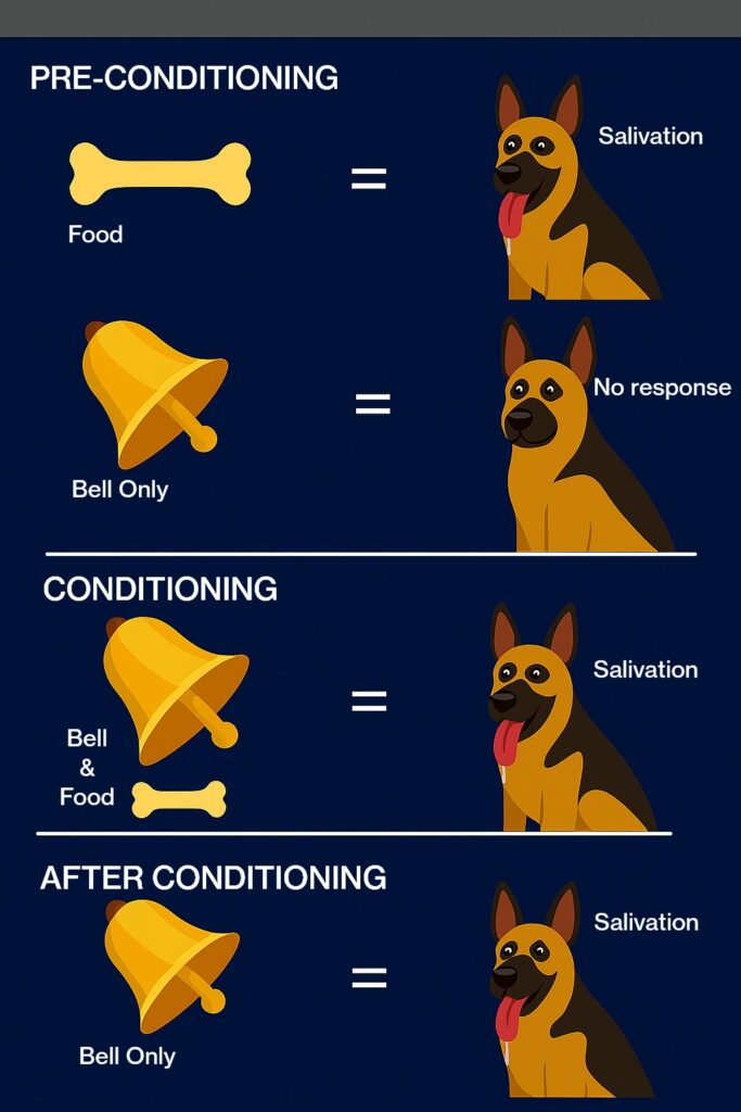 The Sinclair Method (TSM) 1 Pavlovs Dog infographic
